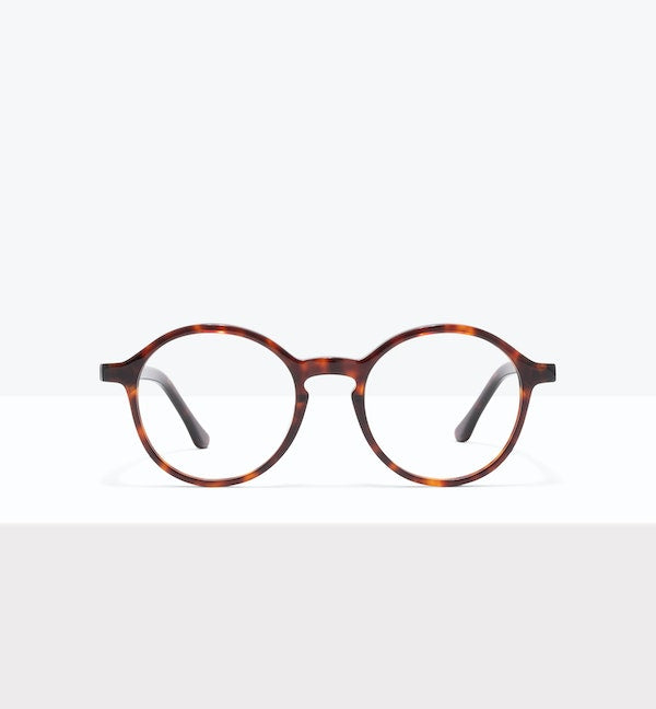 Tortoise--front_image