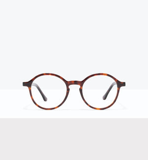Tortoise--front_image