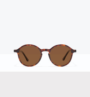 Tortoise--front_image_sun