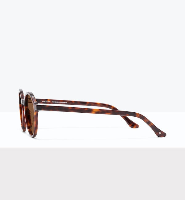 Tortoise--side_image_sun