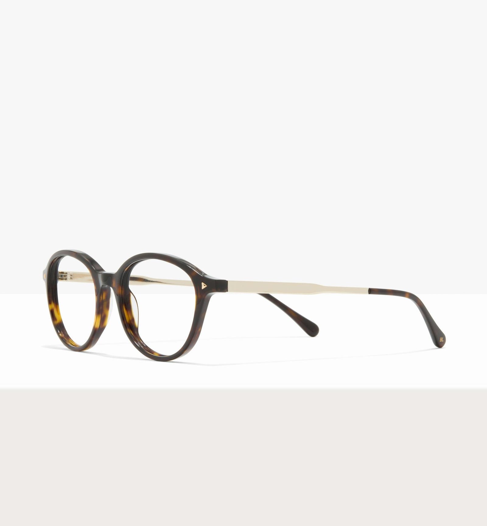 Brown Tort--angled_image