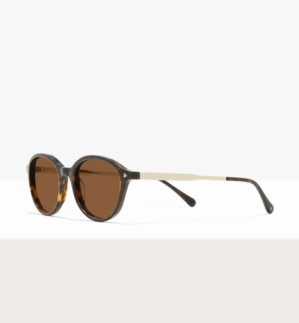 Brown Tort--angled_image_sun