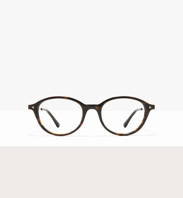 Brown Tort--front_image