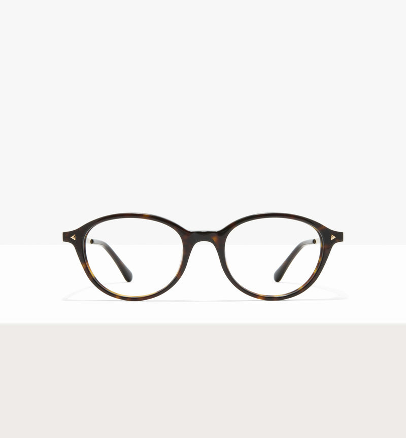 Brown Tort--front_image