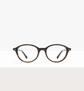 Brown Tort--front_image