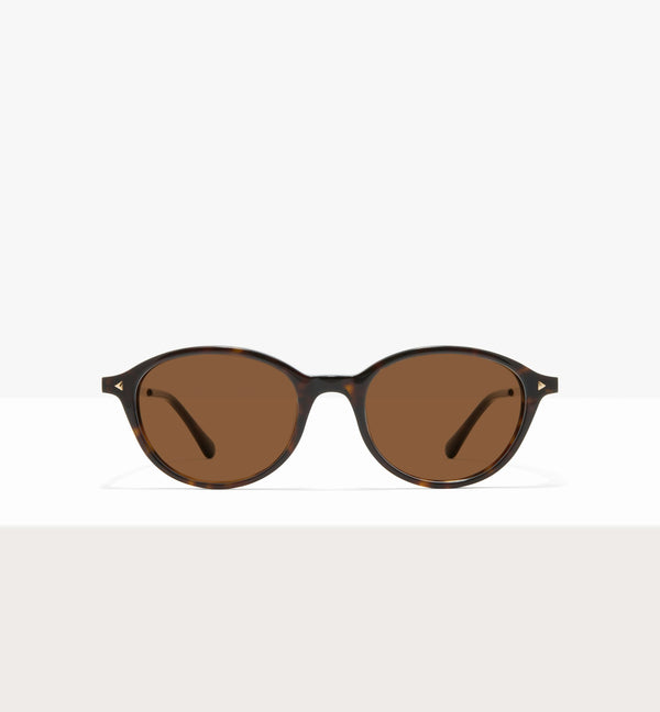 Brown Tort--front_image_sun