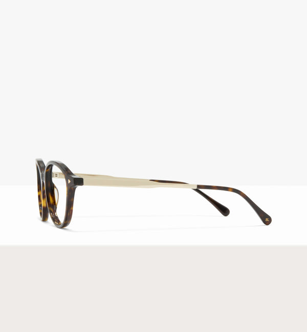 Brown Tort--side_image