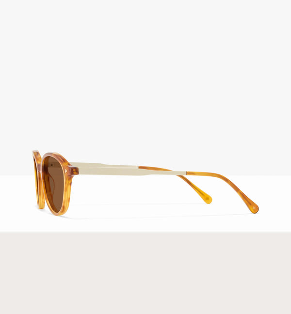 Golden Tort--side_image_sun