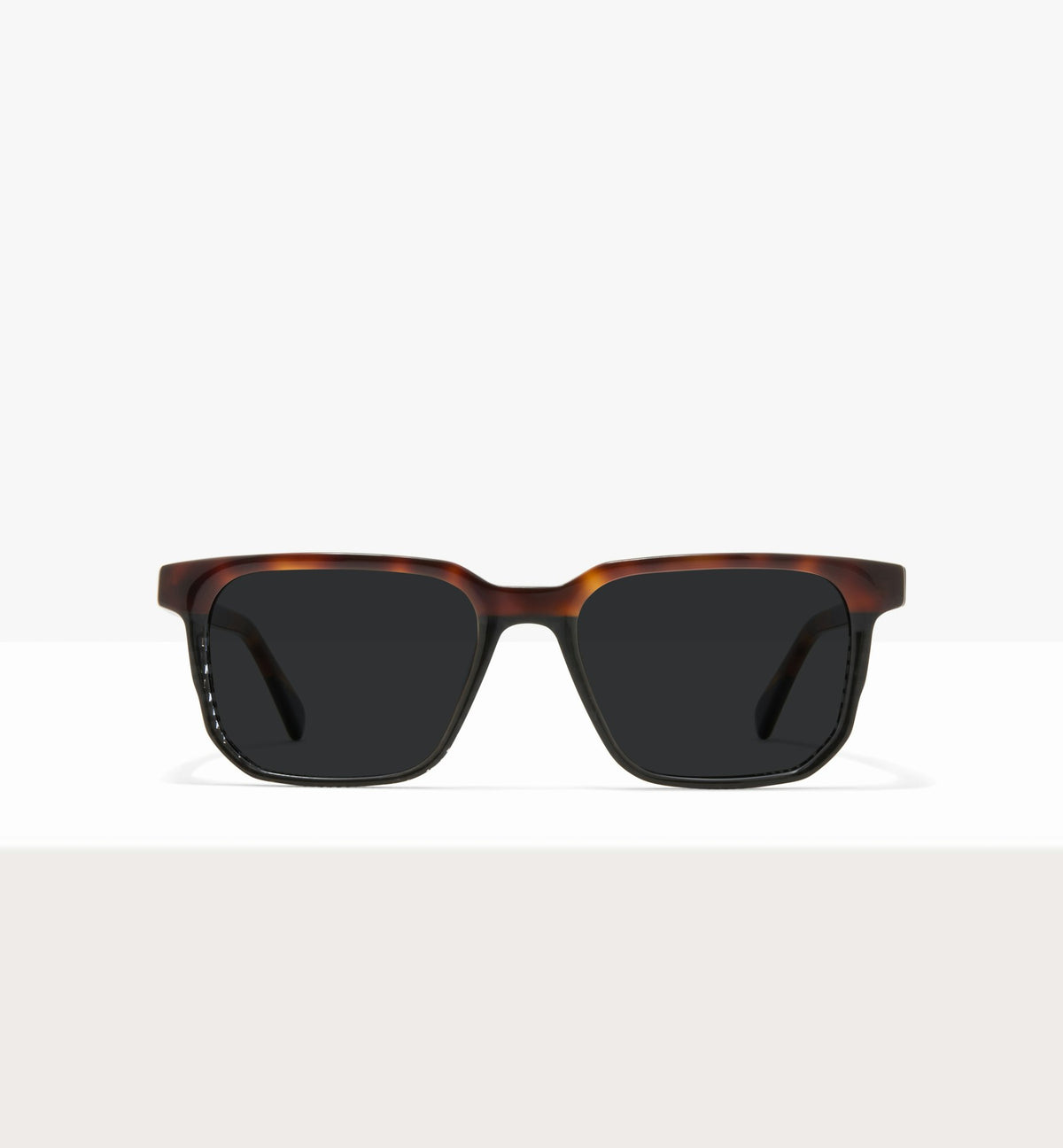 Dark Brown Tort--front_image_sun