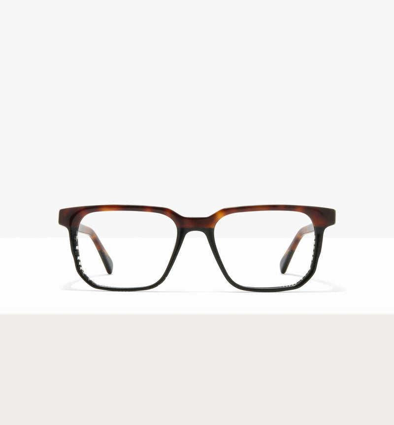 Dark Brown Tort--front_image