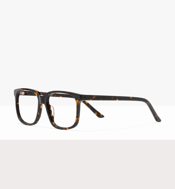 Shadow Tort--angled_image