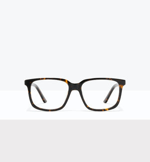 Shadow Tort--front_image
