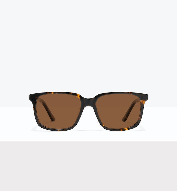 Shadow Tort--front_image_sun