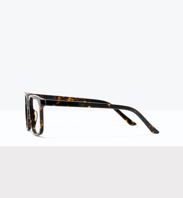 Shadow Tort--side_image