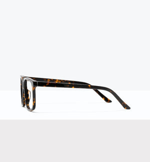 Shadow Tort--side_image