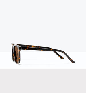 Shadow Tort--side_image_sun