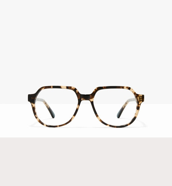 Leopard--front_image