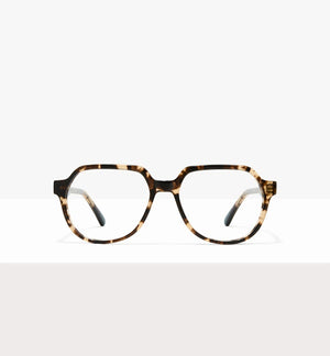 Leopard--front_image