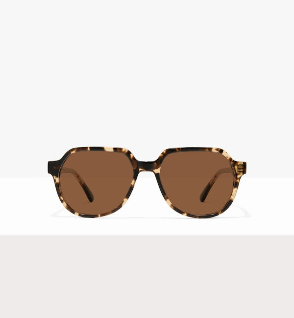 Leopard--front_image_sun