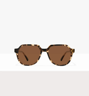 Leopard--front_image_sun