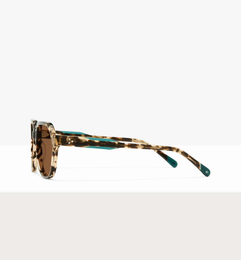 Leopard--side_image_sun