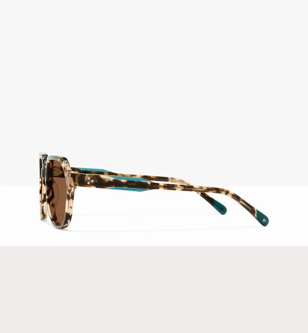 Leopard--side_image_sun