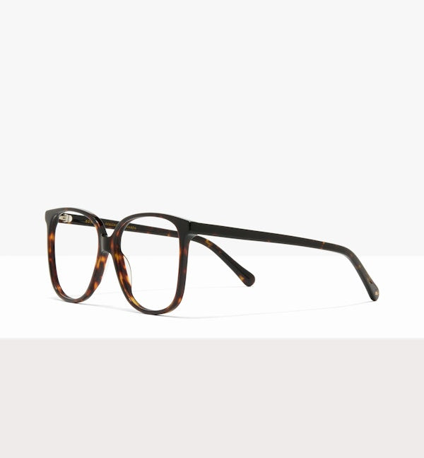 Brown Tort--angled_image