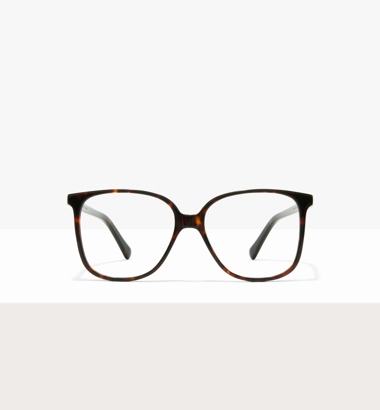 Brown Tort--front_image