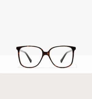 Brown Tort--front_image