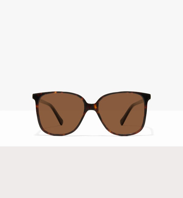 Brown Tort--front_image_sun