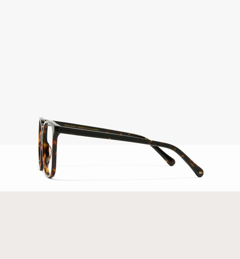 Brown Tort--side_image