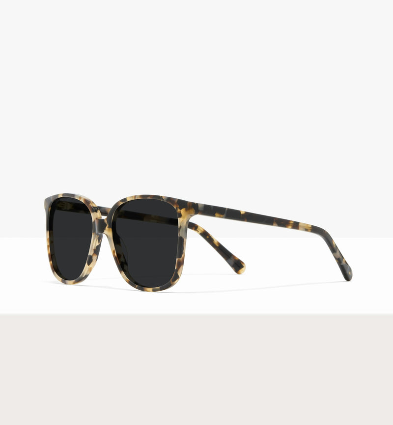 Cream Tort--angled_image_sun