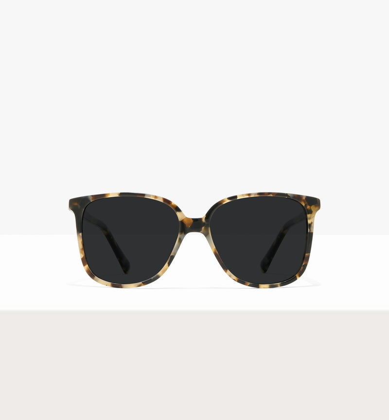 Cream Tort--front_image_sun