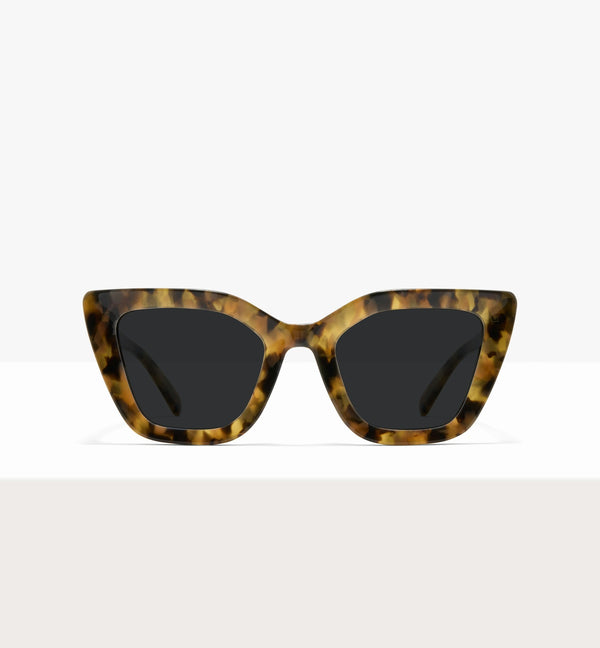 Brown Tort--front_image_sun