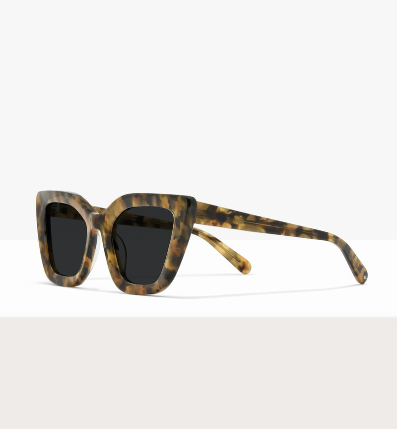 Brown Tort--angled_image_sun