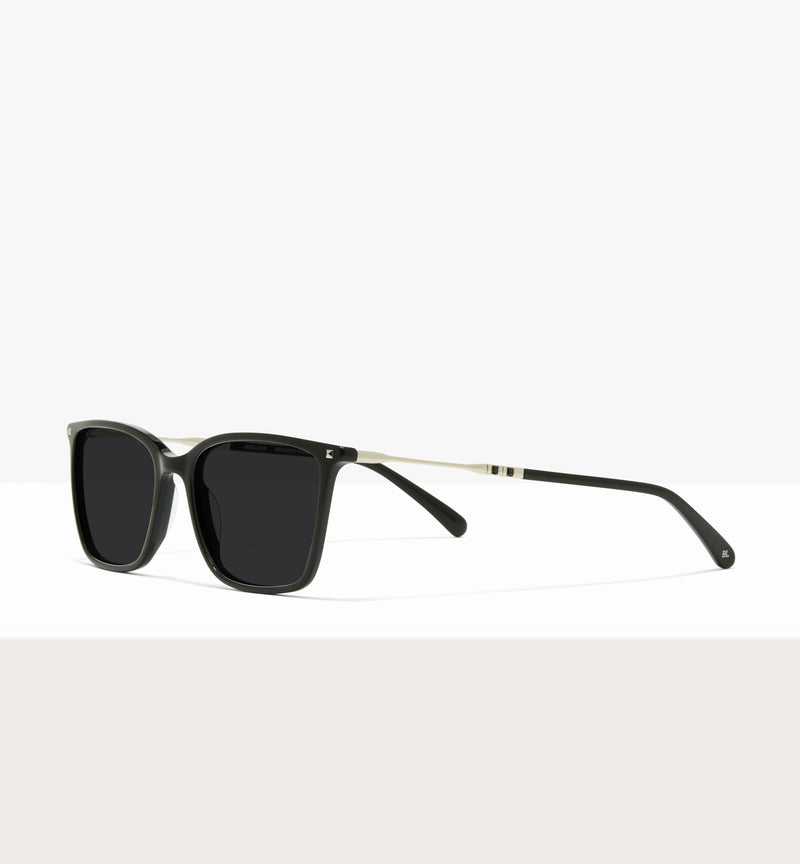 Black Silver--angled_image_sun