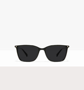 Black Silver--front_image_sun