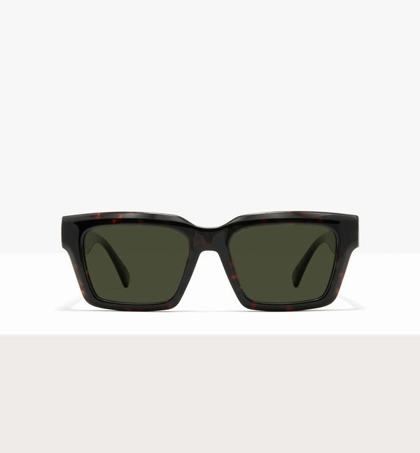 Dark Brown Tort--front_image_sun