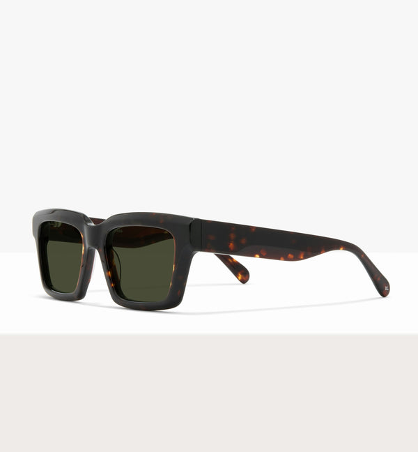 Dark Brown Tort--angled_image_sun