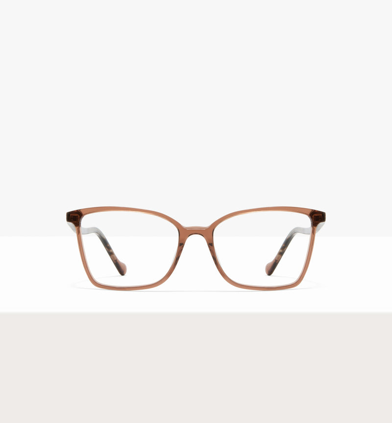 Clear Brown--front_image