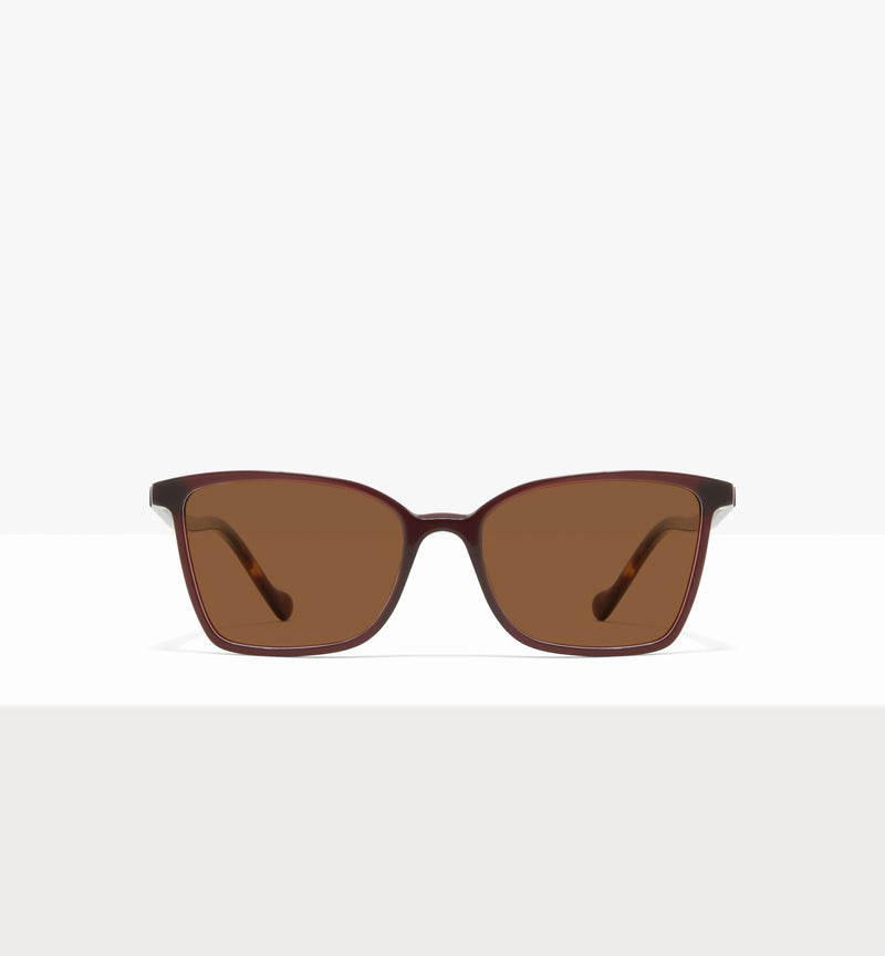 Russet--front_image_sun