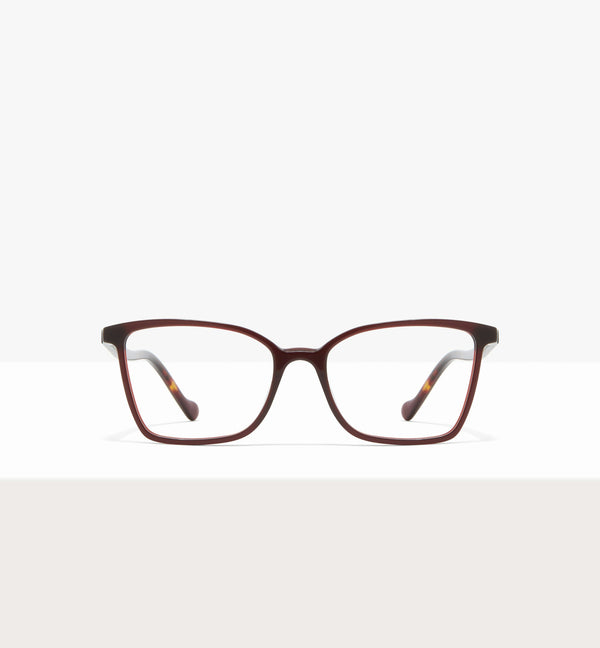 Russet--front_image