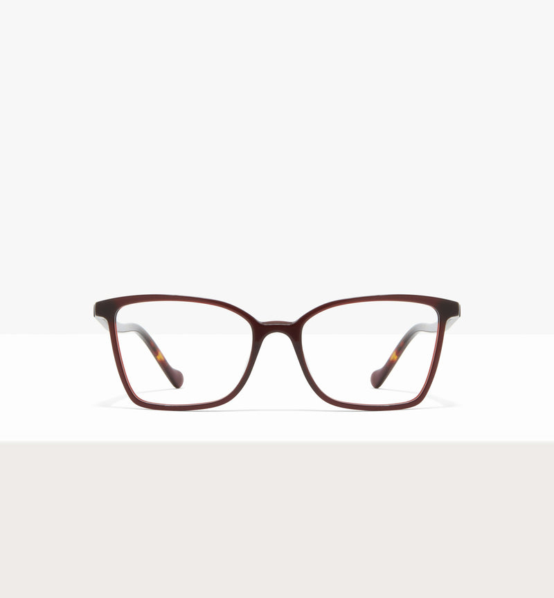 Russet--front_image