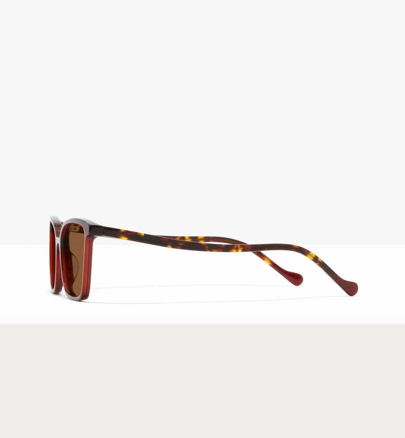 Russet--side_image_sun
