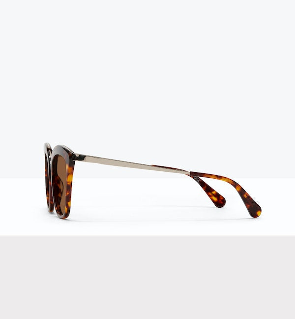 Tortoise--side_image_sun