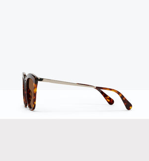 Tortoise--side_image_sun