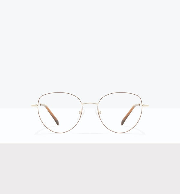 Brown Gold--front_image