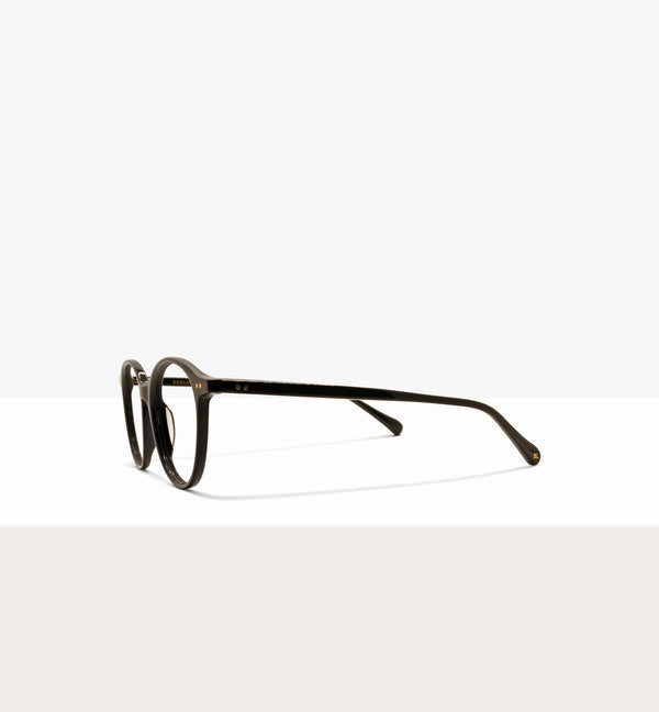 Branch--side_image