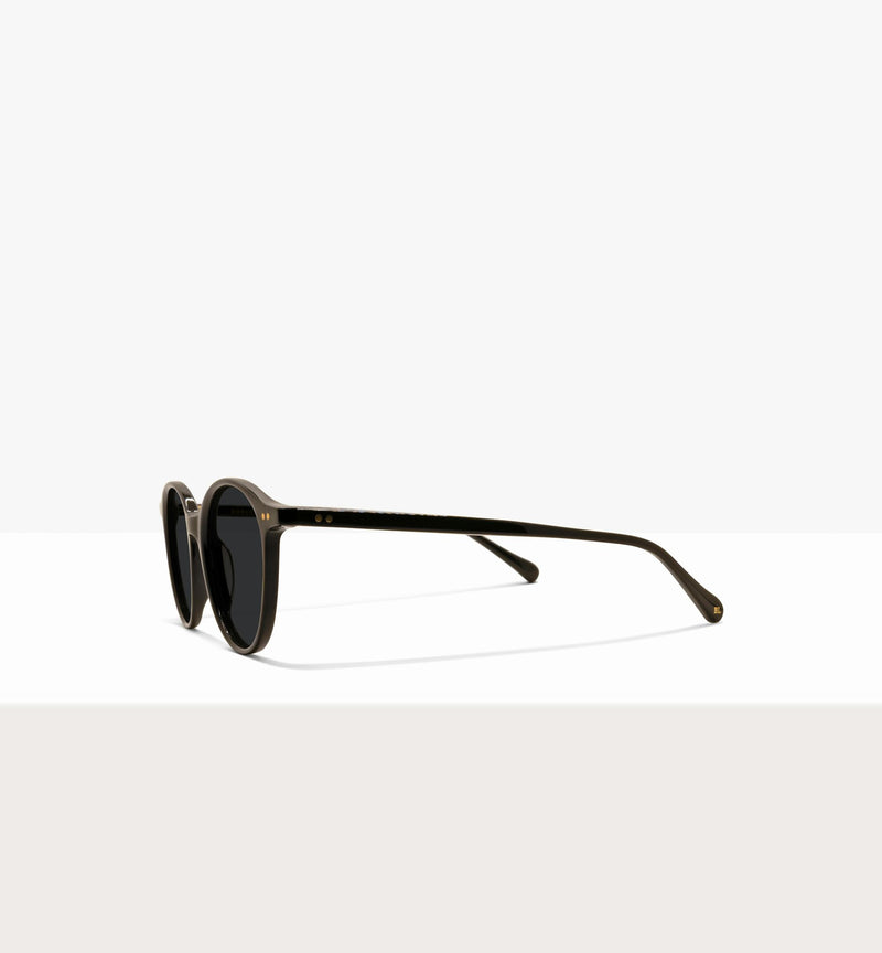 Branch--side_image_sun