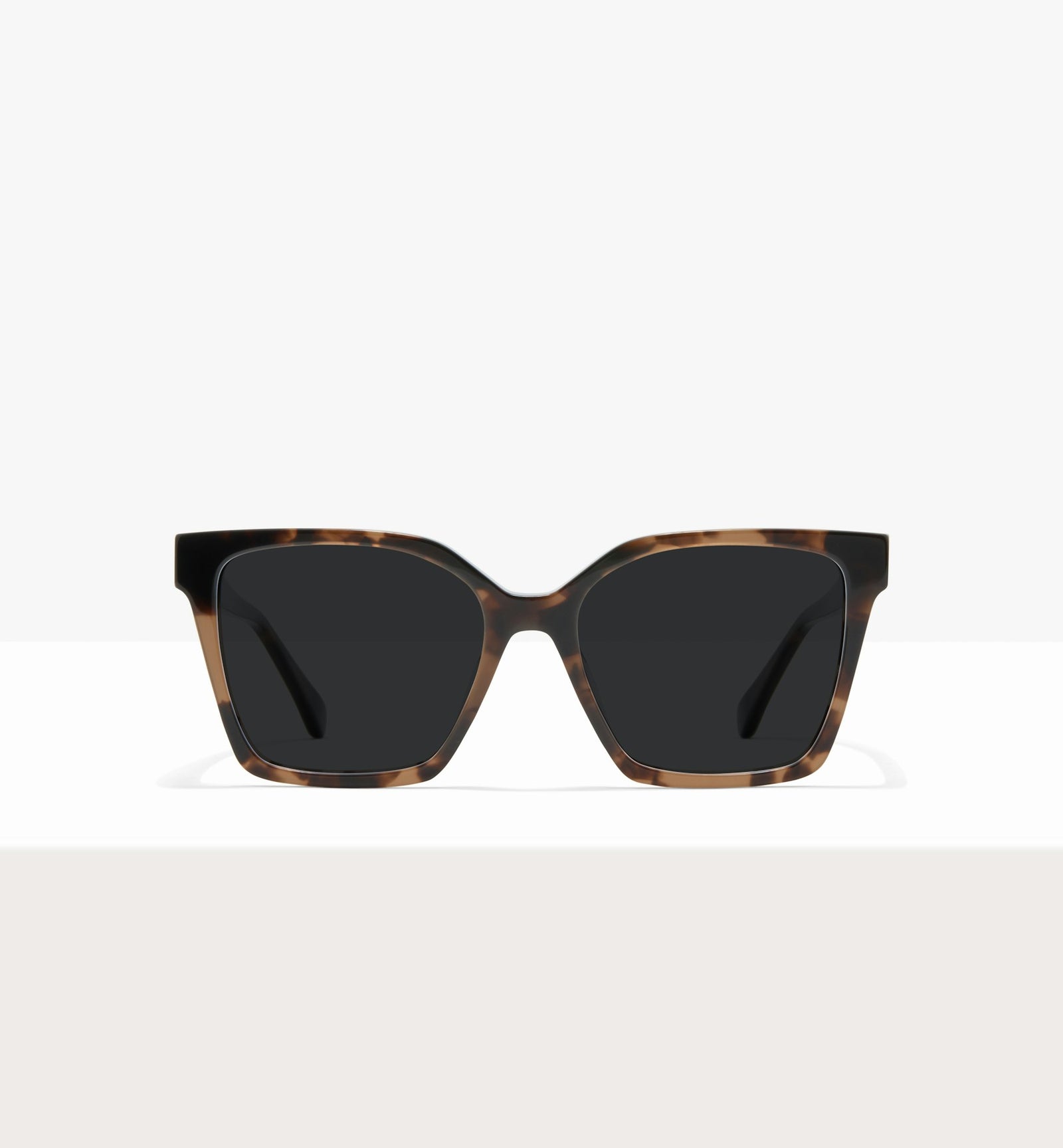 Dark Brown Tort--front_image_sun